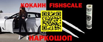 индика Шелехов