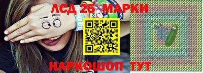 индика Шелехов