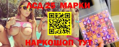 индика Шелехов
