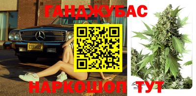 индика Шелехов
