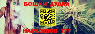 индика Шелехов