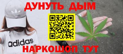 индика Шелехов