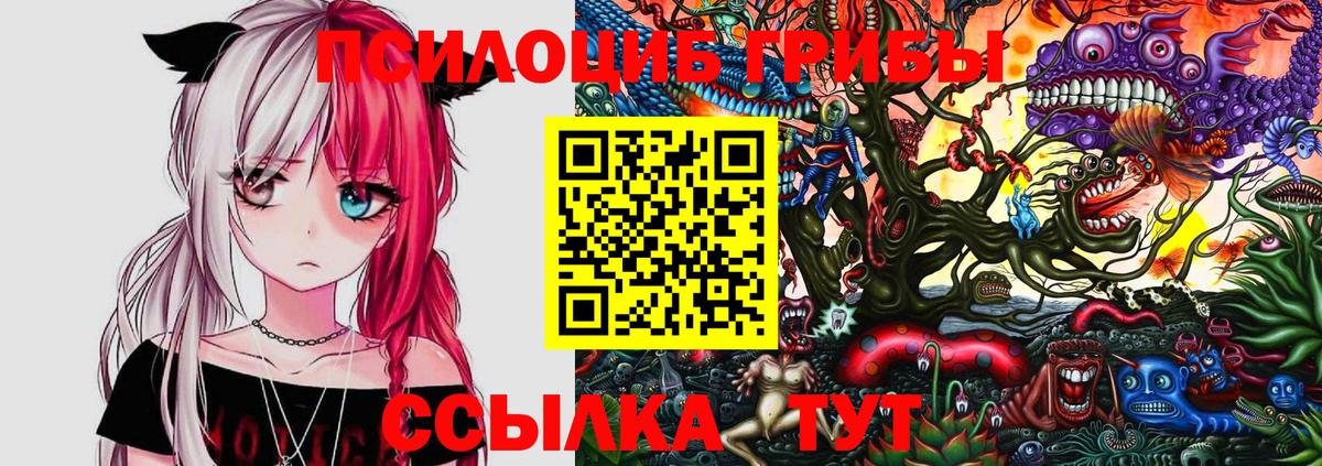 Гусиноозёрск  Псилоцибиновые грибы Magic Shrooms  Галлюциногенные грибы ЛСД  Вход с VPN 