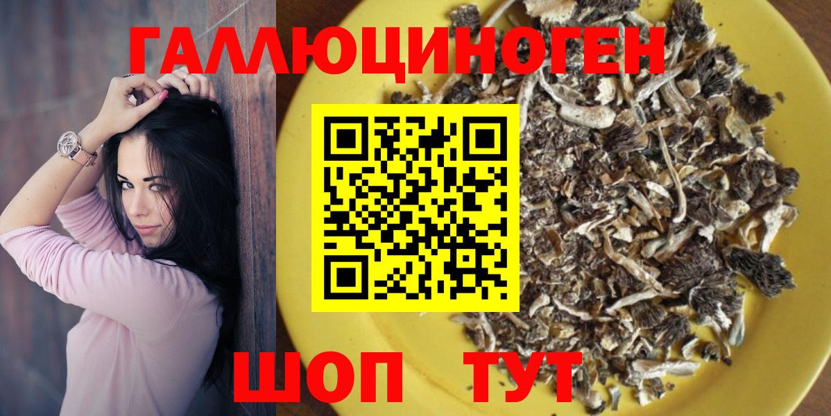 Псилоцибиновые грибы мицелий Гусиноозёрск